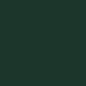 U699 - Fir Green