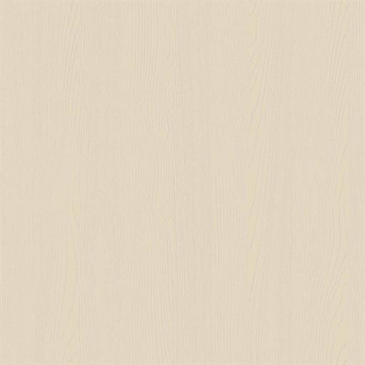 Painted Oak Mussel
