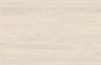 ABS Edging Tape White Coastland Oak 0.45 x 22mm