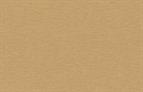 ABS Edging Tape Golden Brushed Metal  2 x 23mm