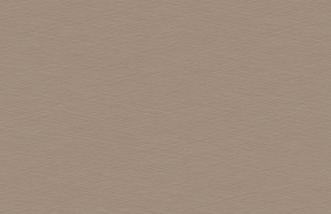 ABS Edging Tape Champagne Crossed Metal 0.8 x 23mm