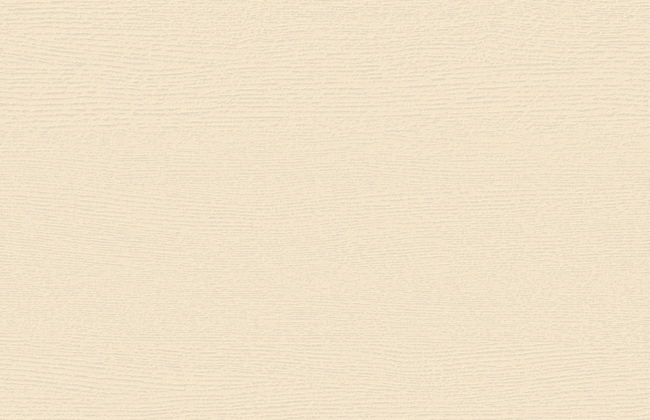 ABS Edging Tape Carat Beige Grained ST17/ST19/ST40 2 x 23mm